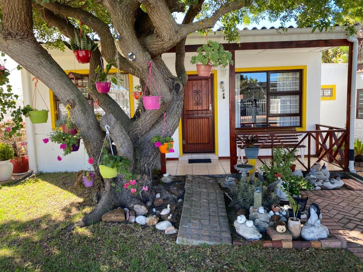 Hermanus 60 On Flat Exteriör bild